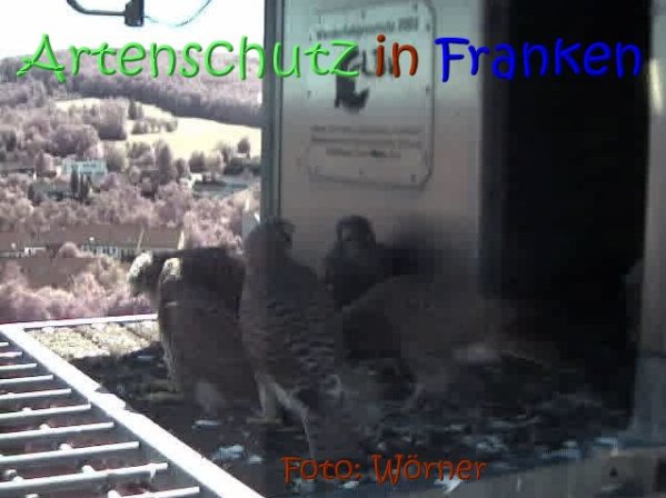 Copyright AiS Raimund Wörner Bild zum Eintrag (67637-160)