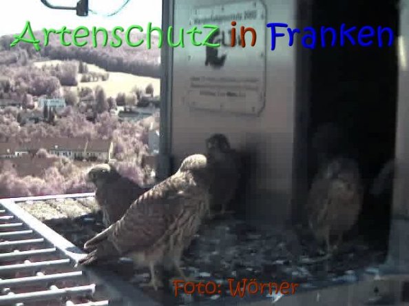 Copyright AiS Raimund Wörner Bild zum Eintrag (67638-160)