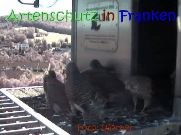Copyright AiS Raimund Wörner Bild zum Eintrag (67640-160)