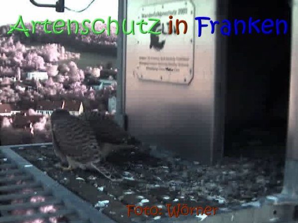 Copyright AiS Raimund Wörner Bild zum Eintrag (67642-160)