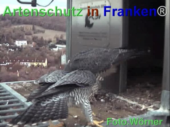 Copyright AiF Wörner Bild zum Eintrag (71972-160)