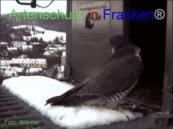 Copyright AiF Wörner Bild zum Eintrag (74080-160)