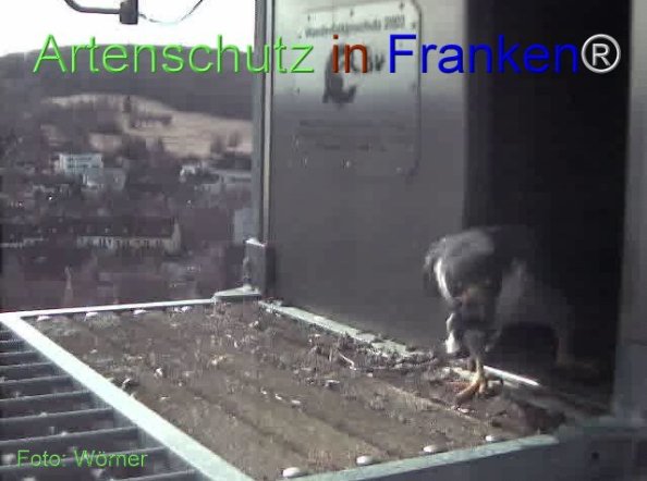 Copyright AiF Wörner Bild zum Eintrag (74086-160)
