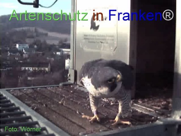 Copyright AiF Wörner Bild zum Eintrag (74088-160)