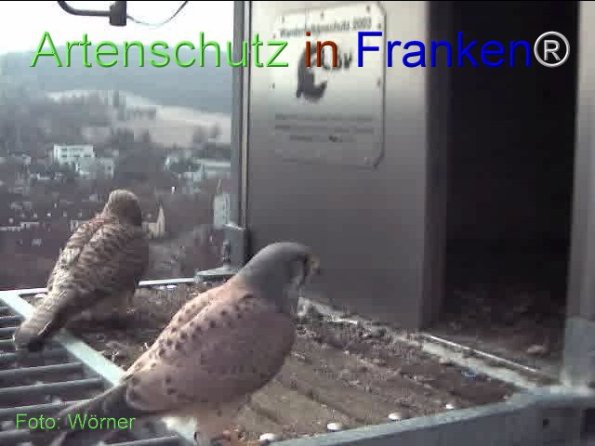 Copyright AiF Wörner Bild zum Eintrag (74109-160)