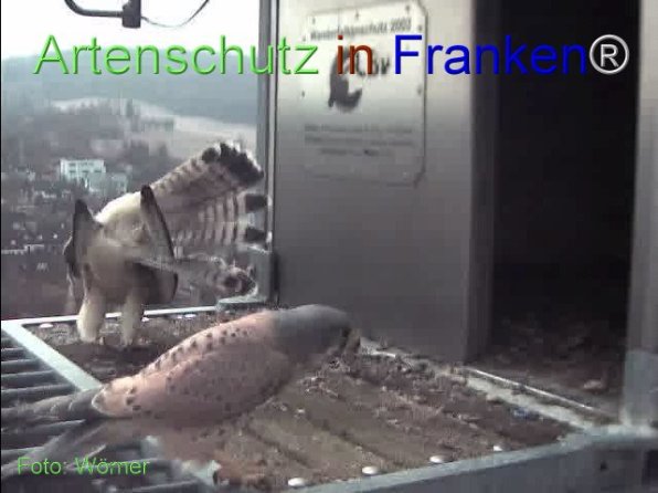 Copyright AiF Wörner Bild zum Eintrag (74110-160)