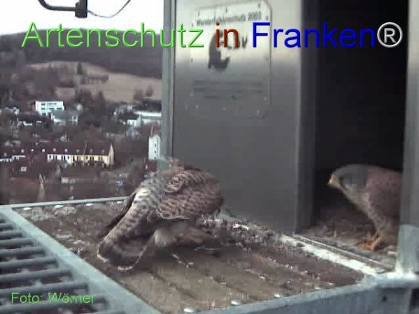 Copyright AiF Wörner Bild zum Eintrag (74111-160)