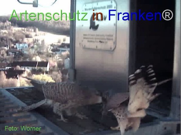 Copyright AiF Wörner Bild zum Eintrag (74112-160)