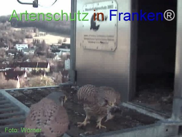 Copyright AiF Wörner Bild zum Eintrag (74113-160)