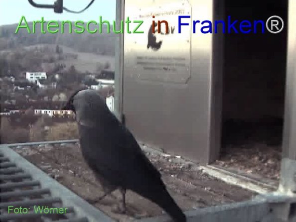 Copyright AiF Wörner Bild zum Eintrag (74115-160)