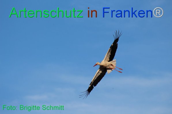Copyright AiF Brigitte Schmitt Bild zum Eintrag (75434-160)