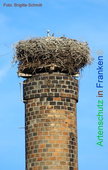 Copyright AiF Brigitte Schmitt Bild zum Eintrag (75435-160)