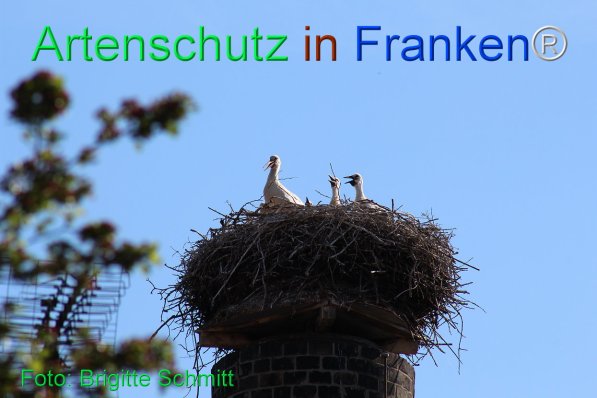 Copyright AiF Brigitte Schmitt Bild zum Eintrag (75436-160)