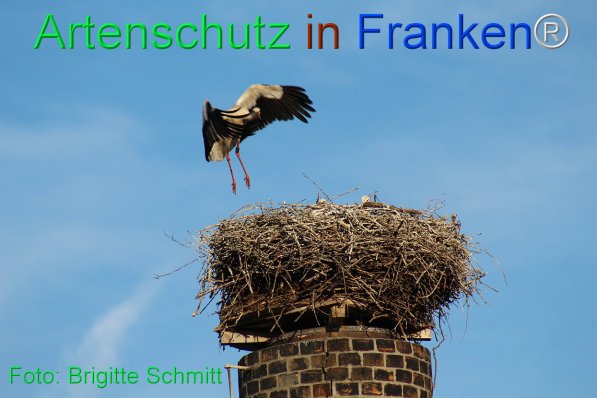 Copyright AiF Brigitte Schmitt Bild zum Eintrag (75439-160)