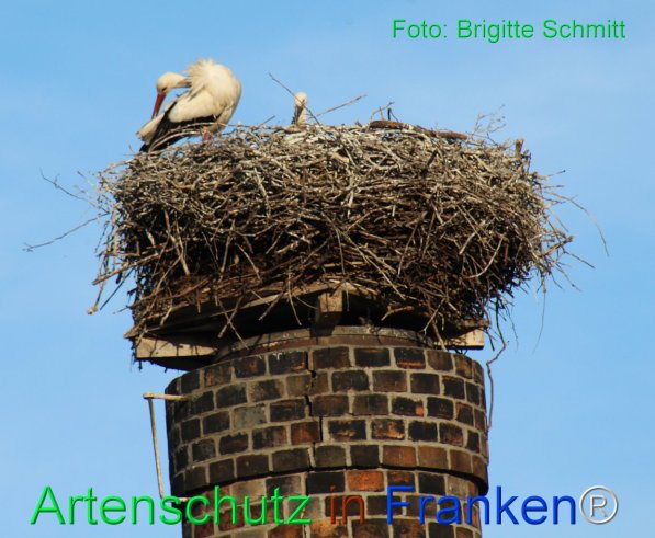 Copyright AiF Brigitte Schmitt Bild zum Eintrag (75440-160)