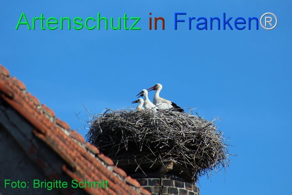 Copyright AiF Brigitte Schmitt Bild zum Eintrag (75441-160)