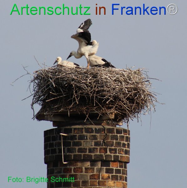 Copyright AiF Brigitte Schmitt Bild zum Eintrag (75442-160)