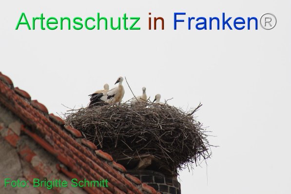 Copyright AiF Brigitte Schmitt Bild zum Eintrag (75445-160)