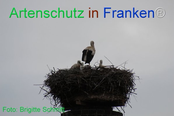 Copyright AiF Brigitte Schmitt Bild zum Eintrag (75446-160)