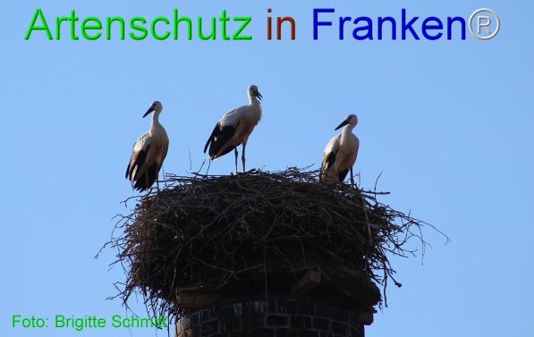 Copyright AiF Brigitte Schmitt Bild zum Eintrag (76216-160)