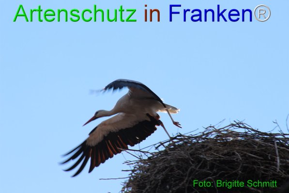 Copyright AiF Brigitte Schmitt Bild zum Eintrag (76217-160)