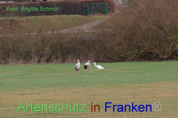 Copyright AiF Brigitte Schmitt Bild zum Eintrag (80867-160)