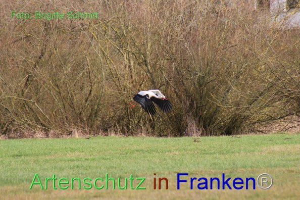 Copyright AiF Brigitte Schmitt Bild zum Eintrag (80868-160)
