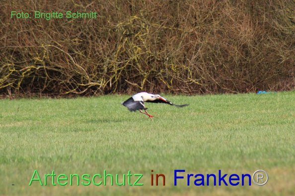 Copyright AiF Brigitte Schmitt Bild zum Eintrag (80875-160)