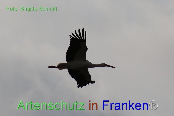 Copyright AiF Brigitte Schmitt Bild zum Eintrag (80877-160)