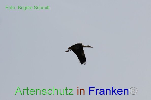 Copyright AiF Brigitte Schmitt Bild zum Eintrag (80878-160)
