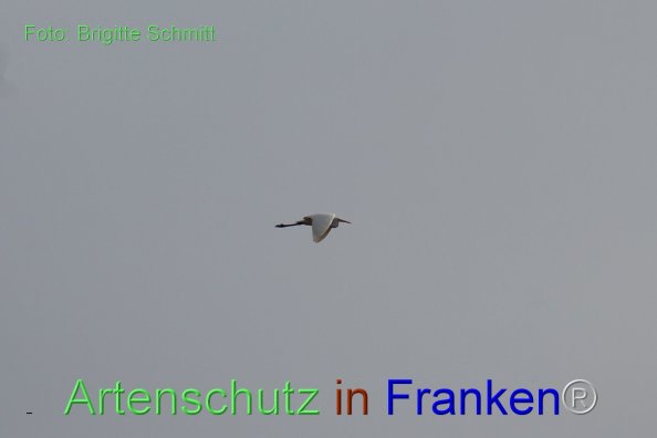 Copyright AiF Brigitte Schmitt Bild zum Eintrag (80881-160)