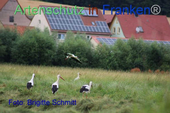Copyright AiF Brigitte Schmitt Bild zum Eintrag (85955-160)