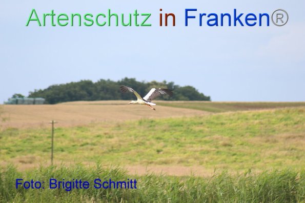 Copyright AiF Brigitte Schmitt Bild zum Eintrag (85956-160)