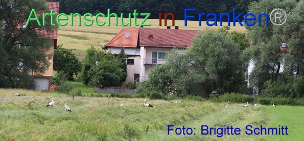 Copyright AiF Brigitte Schmitt Bild zum Eintrag (85958-160)