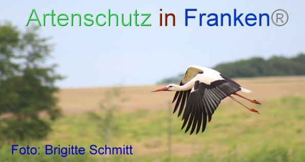 Copyright AiF Brigitte Schmitt Bild zum Eintrag (85959-160)