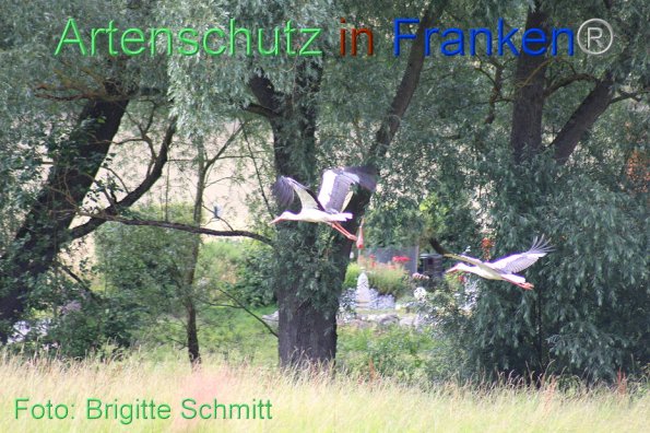 Copyright AiF Brigitte Schmitt Bild zum Eintrag (85960-160)