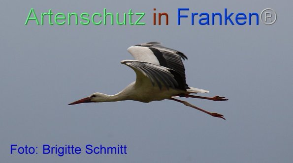 Copyright AiF Brigitte Schmitt Bild zum Eintrag (85962-160)
