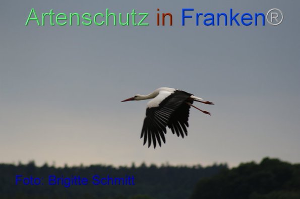 Copyright AiF Brigitte Schmitt Bild zum Eintrag (85963-160)
