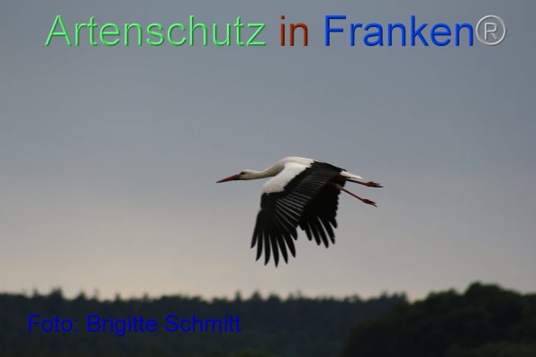 Bild zum Eintrag (85963-160)