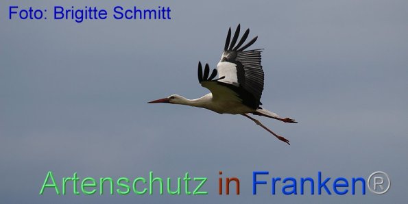 Copyright AiF Brigitte Schmitt Bild zum Eintrag (85964-160)