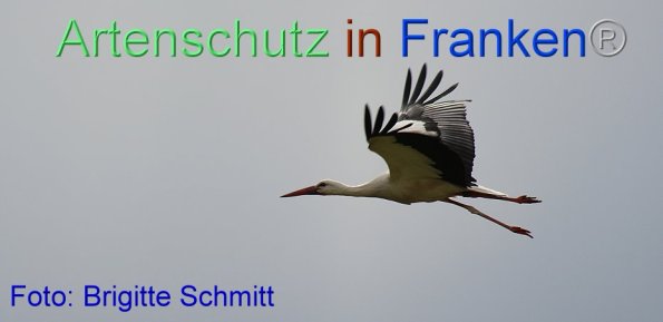 Copyright AiF Brigitte Schmitt Bild zum Eintrag (85965-160)