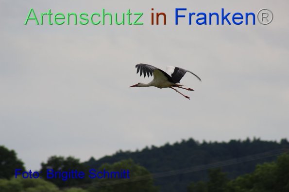 Copyright AiF Brigitte Schmitt Bild zum Eintrag (85966-160)