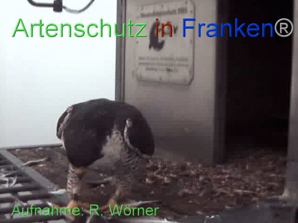Copyright AiF Wörner Bild zum Eintrag (87439-160)