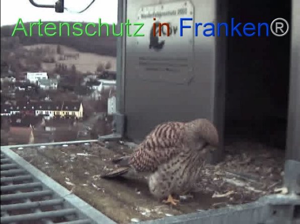 Copyright AiF Wörner Bild zum Eintrag (87447-160)