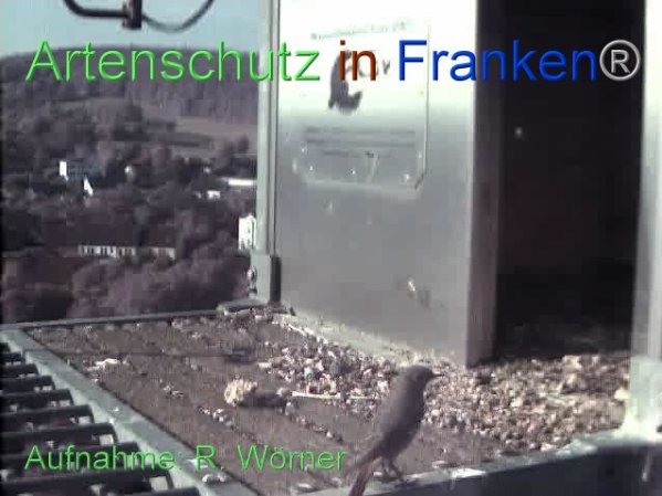Copyright AiF Wörner Bild zum Eintrag (87449-160)