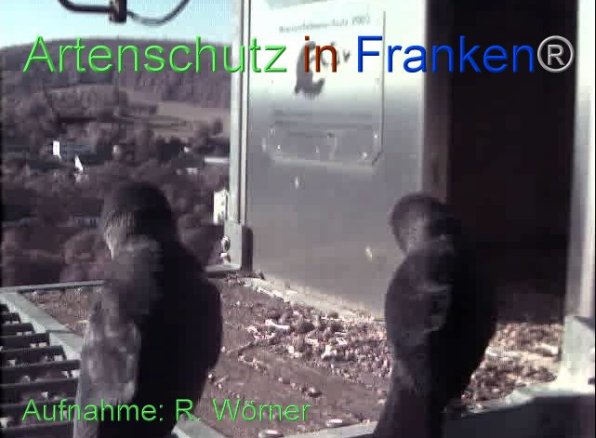Copyright AiF Wörner Bild zum Eintrag (87450-160)