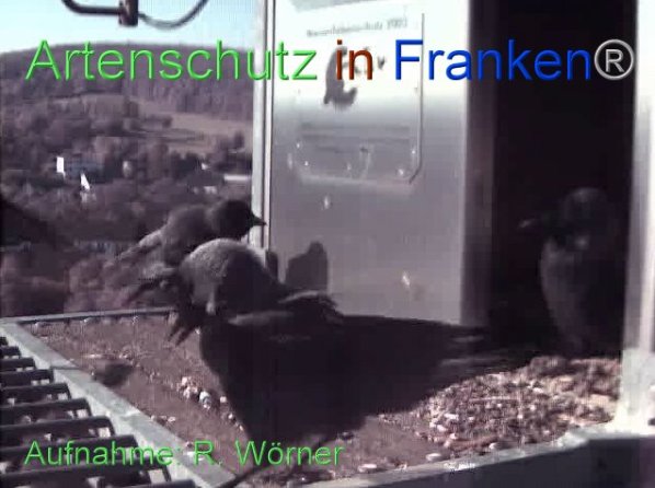 Copyright AiF Wörner Bild zum Eintrag (87451-160)