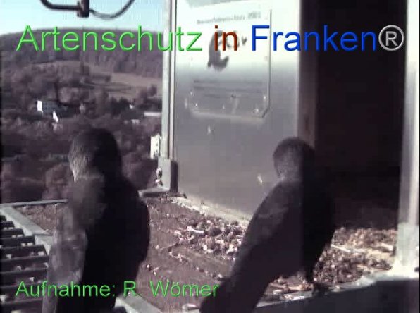 Copyright AiF Wörner Bild zum Eintrag (87453-160)