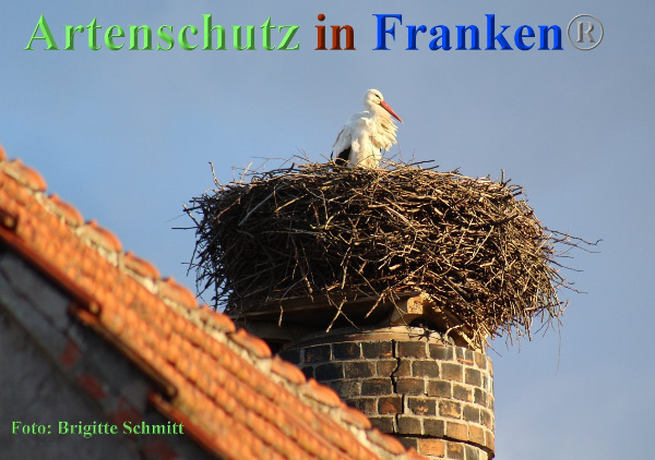 Copyright AiF Brigitte Schmitt Bild zum Eintrag (90129-160)