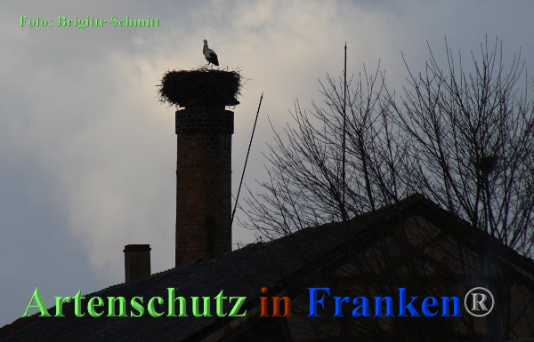 Copyright AiF Brigitte Schmitt Bild zum Eintrag (90130-160)